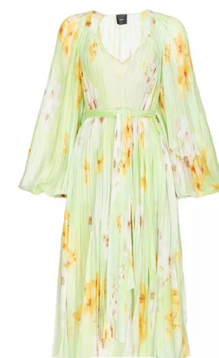 Pinko Bengalino Dress