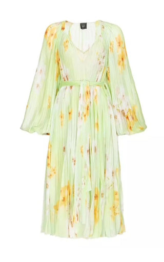 Pinko Bengalino Dress