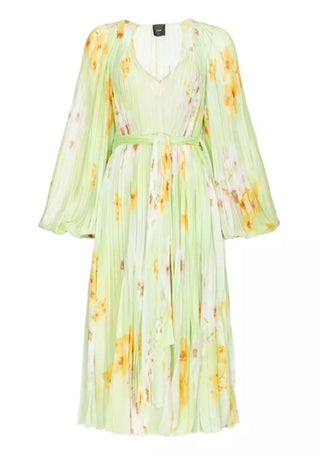Pinko Bengalino Dress