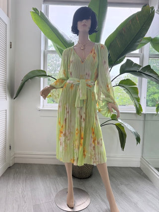 Pinko Bengalino Dress