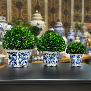 Single Ball Preserved Boxwood