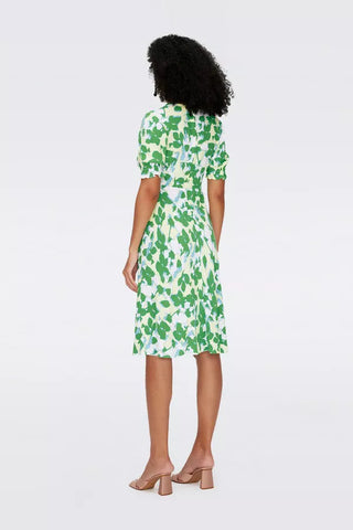 Diane Von Furstenberg Jemma Dress Earth Floral